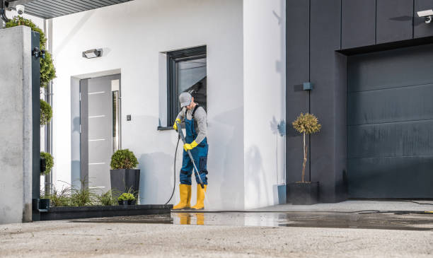 Best Patio and Deck Pressure Washing  in Townsend, DE